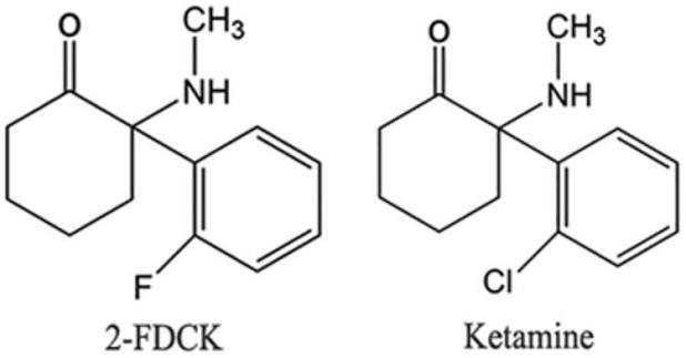 2F-DCK (2-fluorodeschloroketamine)