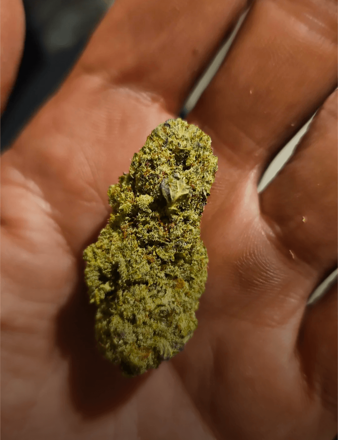 CBD Flower / Hemp Bud