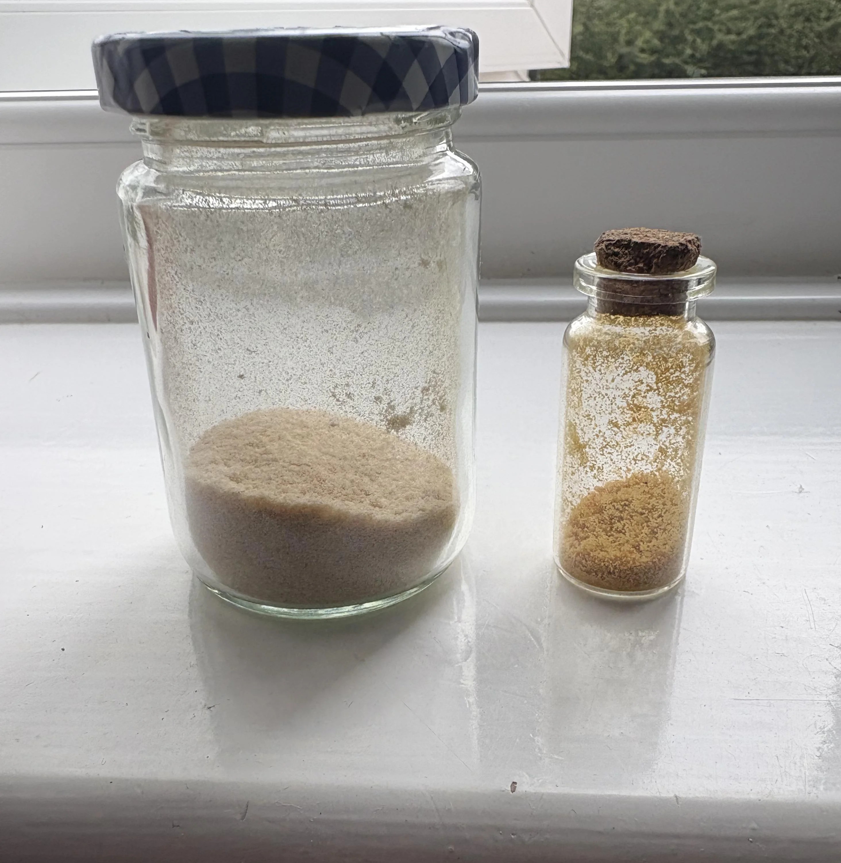 DMT (dimethyltryptamine)
