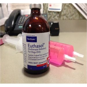 Pentobarbital (Nembutal) — Capsules jaunes, solution injectable rose (vétérinaire), poudre